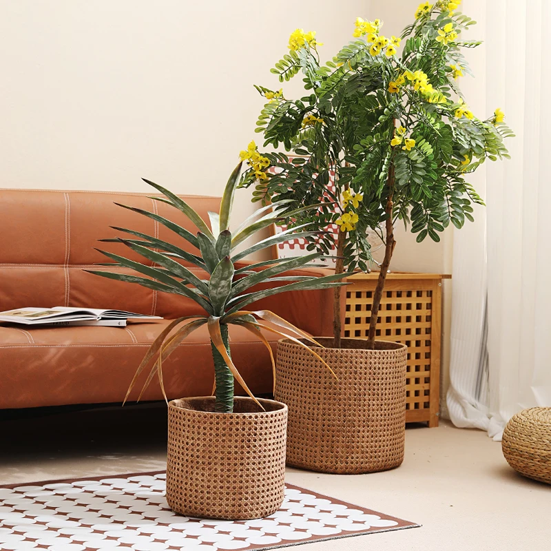 Furniture for small-sized apartments floor-to-ceiling flower pot Home hall Garden green plant paradise bird willow leaf fi
Furniture for small-sized apartments floor-to-ceiling flower pot Home hall Garden green plant paradise bird willow leaf fi
