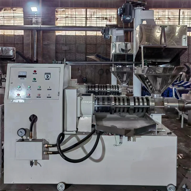 Steel Cooking Oil Refinery Soybean Karaerler Machinery Rapeseed Oil Automatic Olive Oil Extraction Machine Cold Press
Steel Cooking Oil Refinery Soybean Karaerler Machinery Rapeseed Oil Automatic Olive Oil Extraction Machine Cold Press