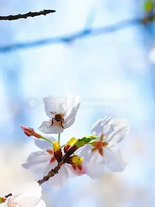 4 шт., 63 мм, 1,0 дюйма, набор металлических колес с бисером для 1/18 RC гусеничного автомобиля SCX24 FMS Ascent-18, обновленные детали, аксессуары
4 шт., 63 мм, 1,0 дюйма, набор металлических колес с бисером для 1/18 RC гусеничного автомобиля SCX24 FMS Ascent-18, обновленные детали, аксессуары