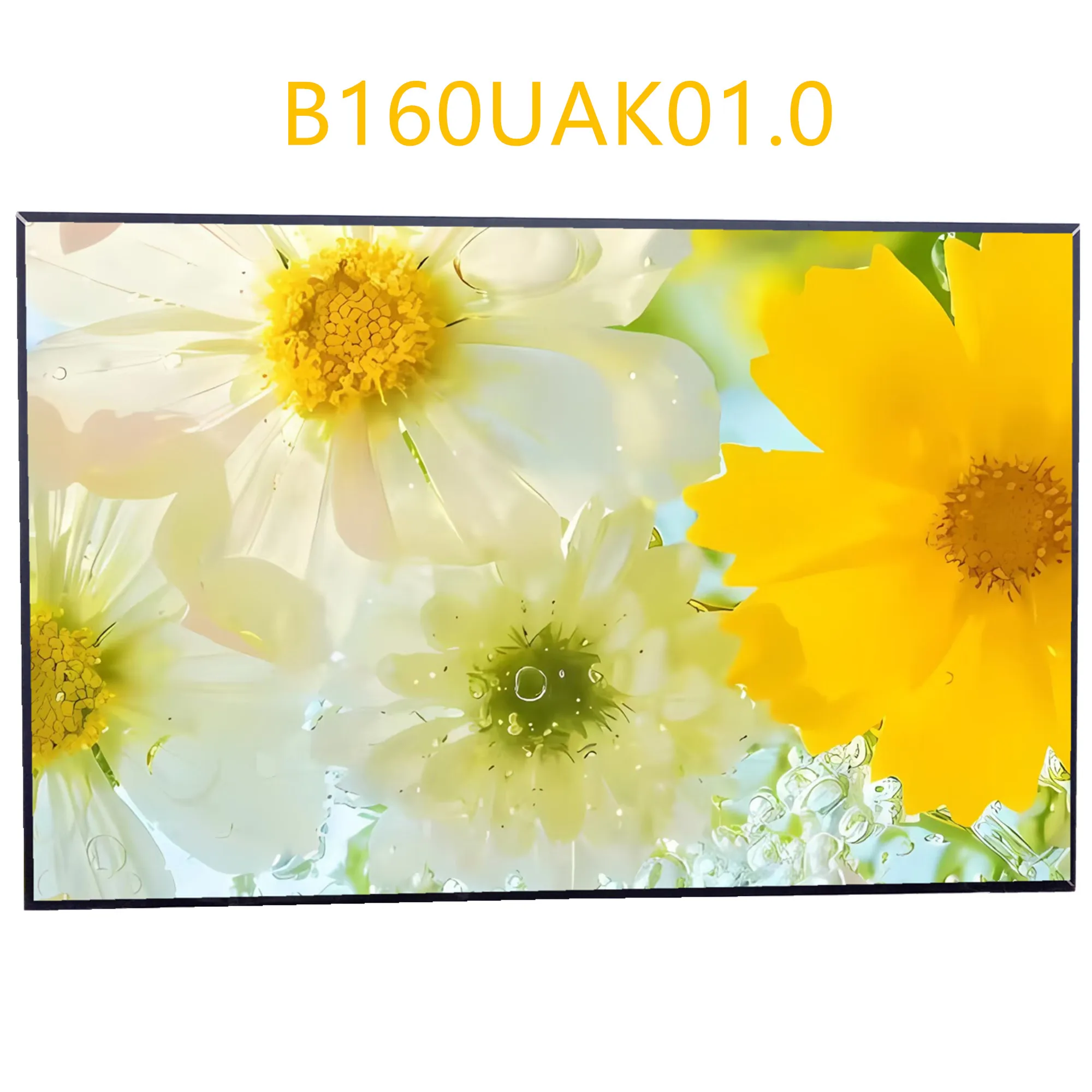 B160UAK01.0 16.0'' Laptop LCD Touch Screen Display Panel 1920*1200 EDP 40 Pins
B160UAK01.0 16.0'' Laptop LCD Touch Screen Display Panel 1920*1200 EDP 40 Pins