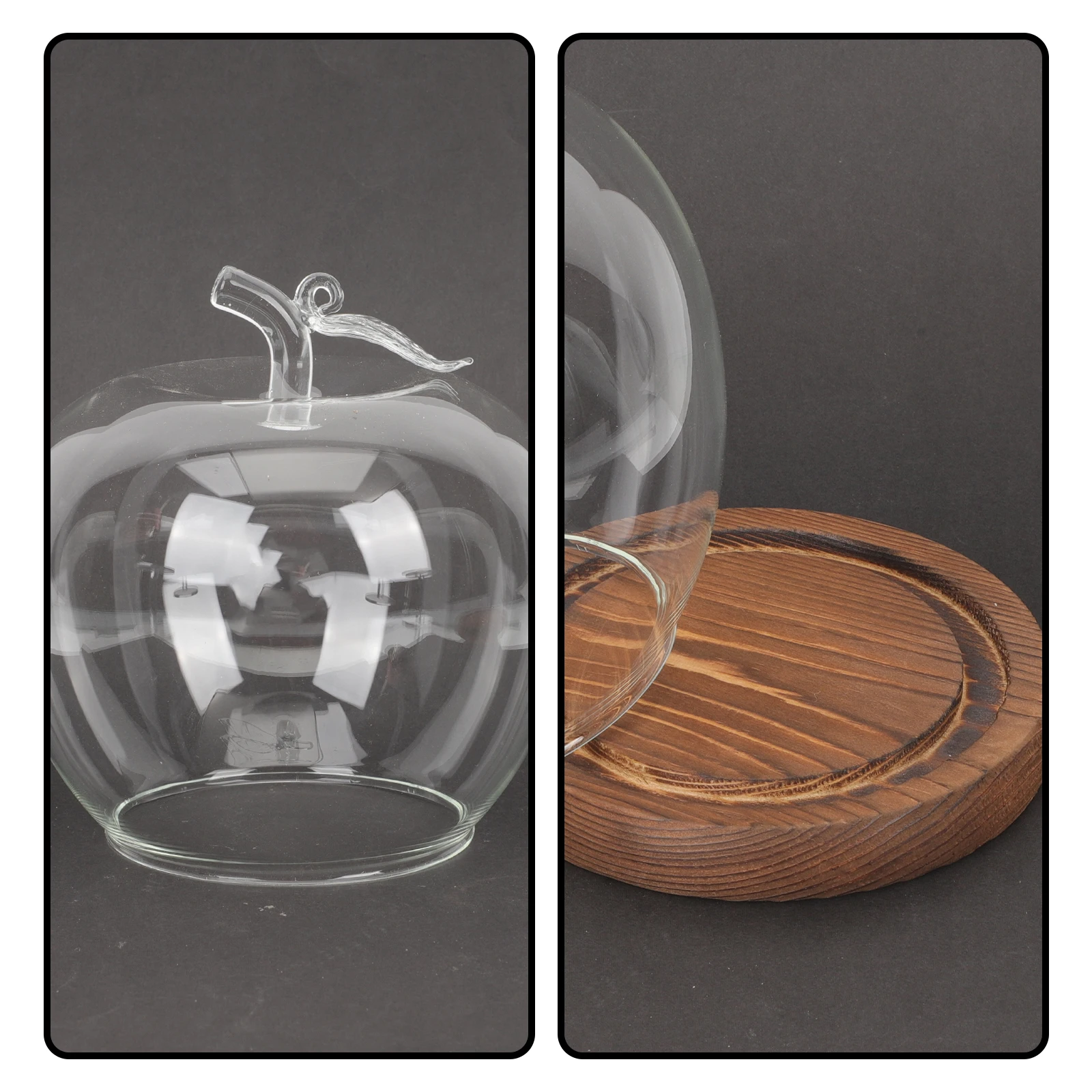 Glass Dome Cover Decorative Display Holder with Flat Wood Base for Crafts Preserved Flower Clear Transparent Flower Protector
Glass Dome Cover Decorative Display Holder with Flat Wood Base for Crafts Preserved Flower Clear Transparent Flower Protector