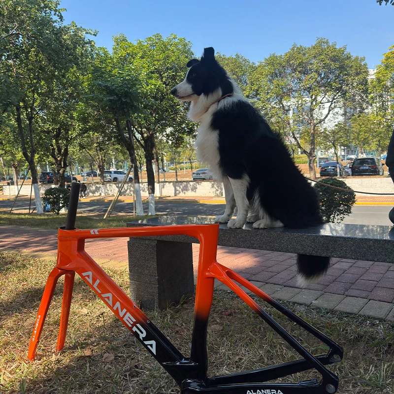 Orange's new ALANERA wind-breaking high-strength carbon fiber road bicycle frame, carbon disc brake road bicycle frame
Orange's new ALANERA wind-breaking high-strength carbon fiber road bicycle frame, carbon disc brake road bicycle frame