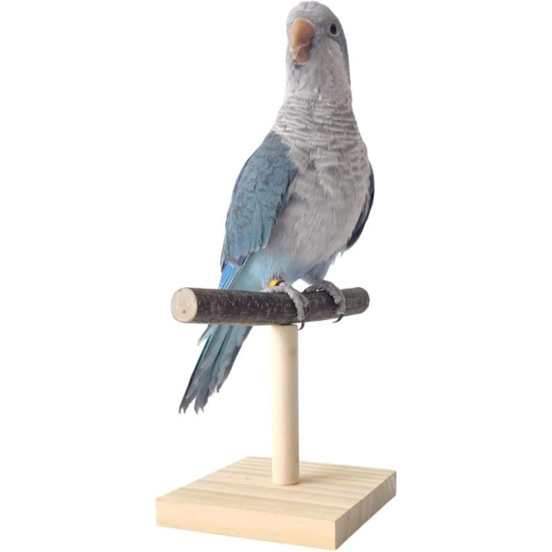 Bird Perch Stand Portable Bird Training Tabletop Platform Interactive Parrot Toys
Bird Perch Stand Portable Bird Training Tabletop Platform Interactive Parrot Toys