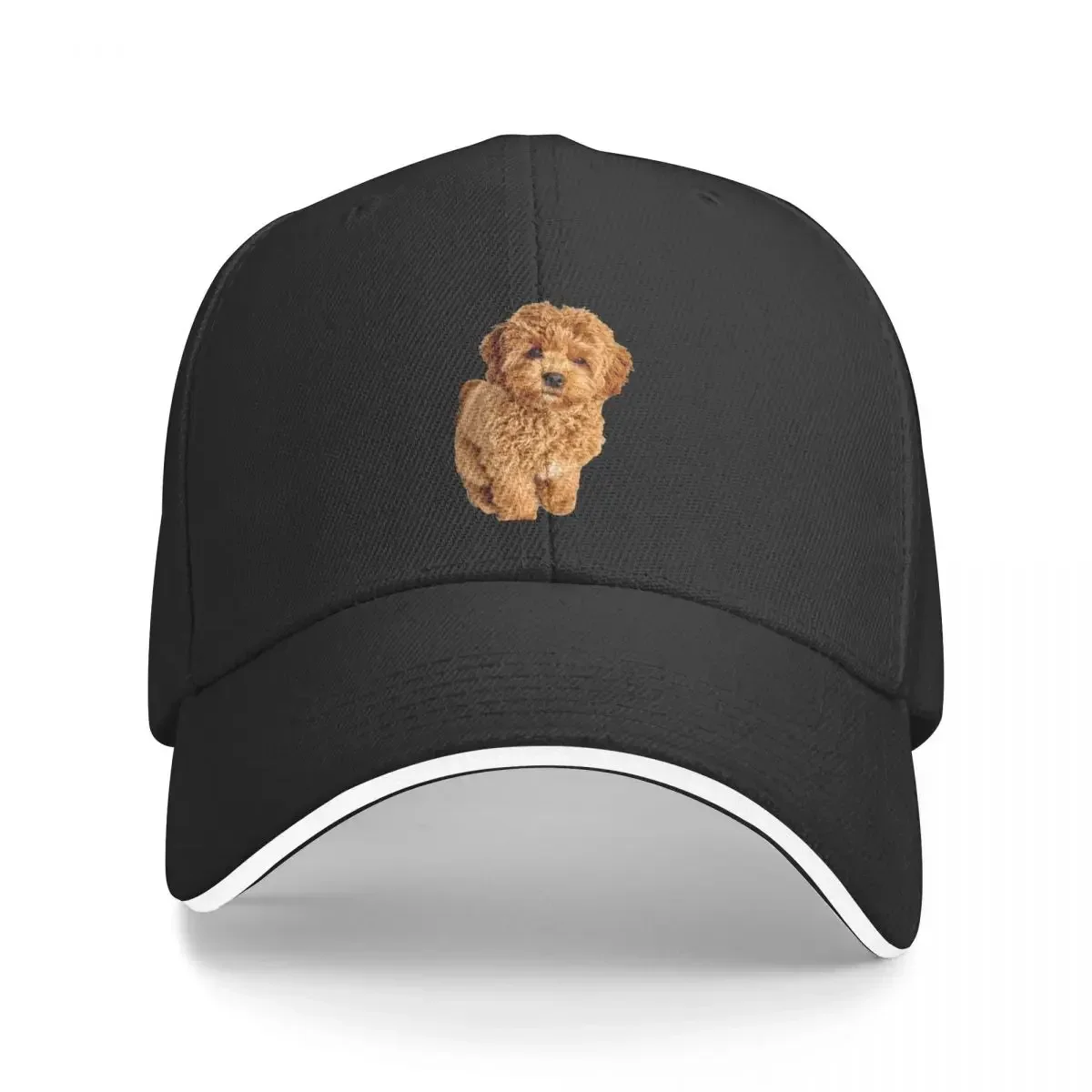 Cavapoo Baseball Cap winter hats for men Hat Luxury Brand Dropshipping sailor cap for men Mens Hats Women's
Cavapoo Baseball Cap winter hats for men Hat Luxury Brand Dropshipping sailor cap for men Mens Hats Women's