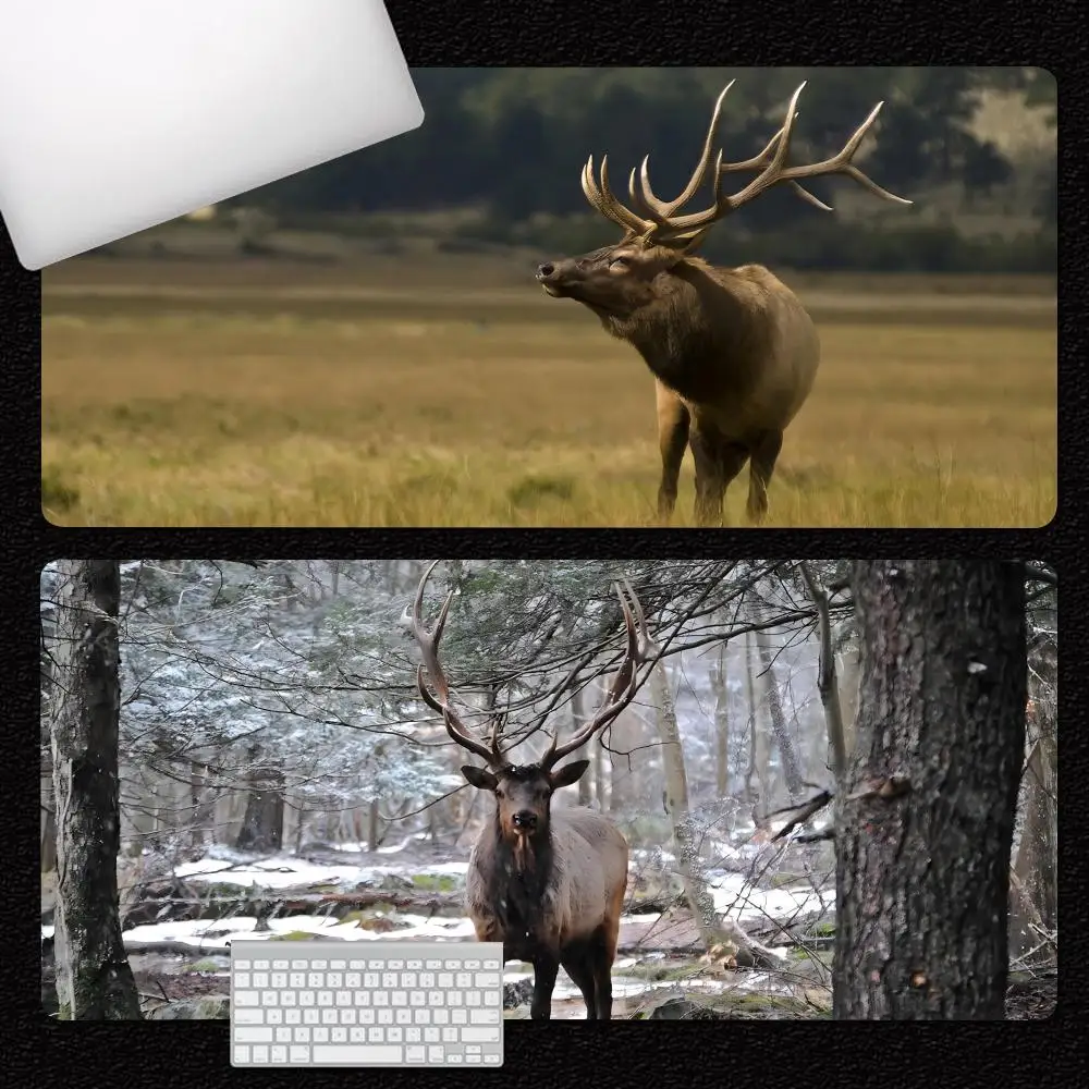 Elk MINISO Mouse Pad E-sports players Desk Mat With Pad Gaming Accessories Prime Gaming Keyboard Pad XXL 90x40cm
Elk MINISO Mouse Pad E-sports players Desk Mat With Pad Gaming Accessories Prime Gaming Keyboard Pad XXL 90x40cm