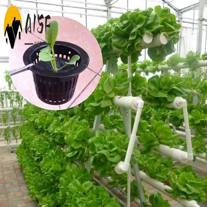 A15F-100Pcs Black Plastic Fixing Basket Gardening Soilless Slotted Mesh Plant Cups, Pots, Buckets, Baskets For Hydroponics
A15F-100Pcs Black Plastic Fixing Basket Gardening Soilless Slotted Mesh Plant Cups, Pots, Buckets, Baskets For Hydroponics