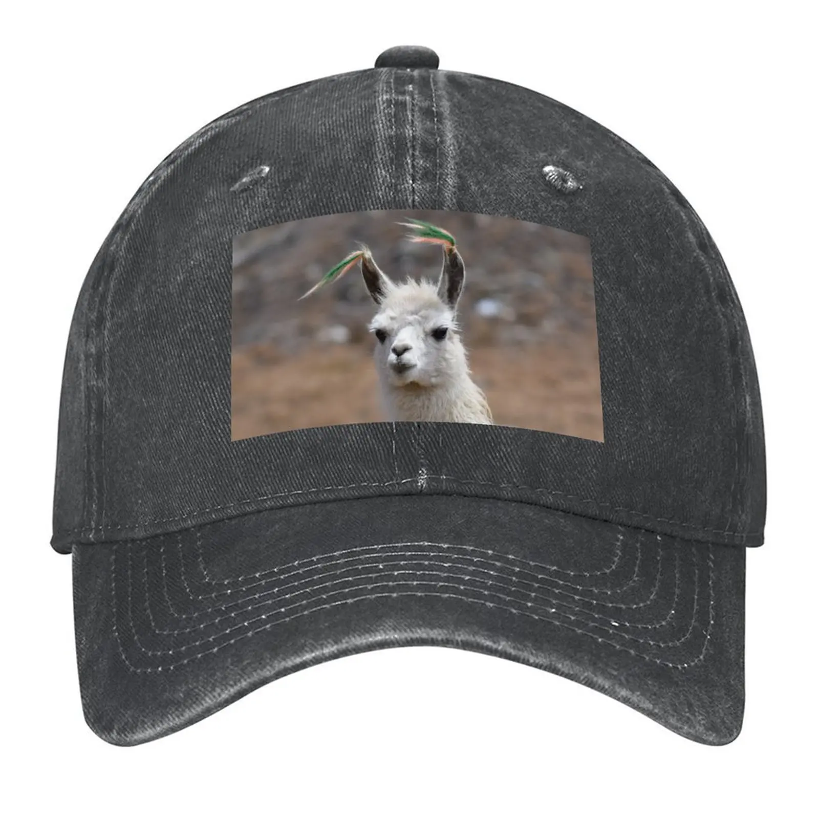 Бейсбольная кепка Bolivian Llama, пляжная шляпа дерби, новая шляпа, мужские кепки для косплея, женские кепки
Бейсбольная кепка Bolivian Llama, пляжная шляпа дерби, новая шляпа, мужские кепки для косплея, женские кепки