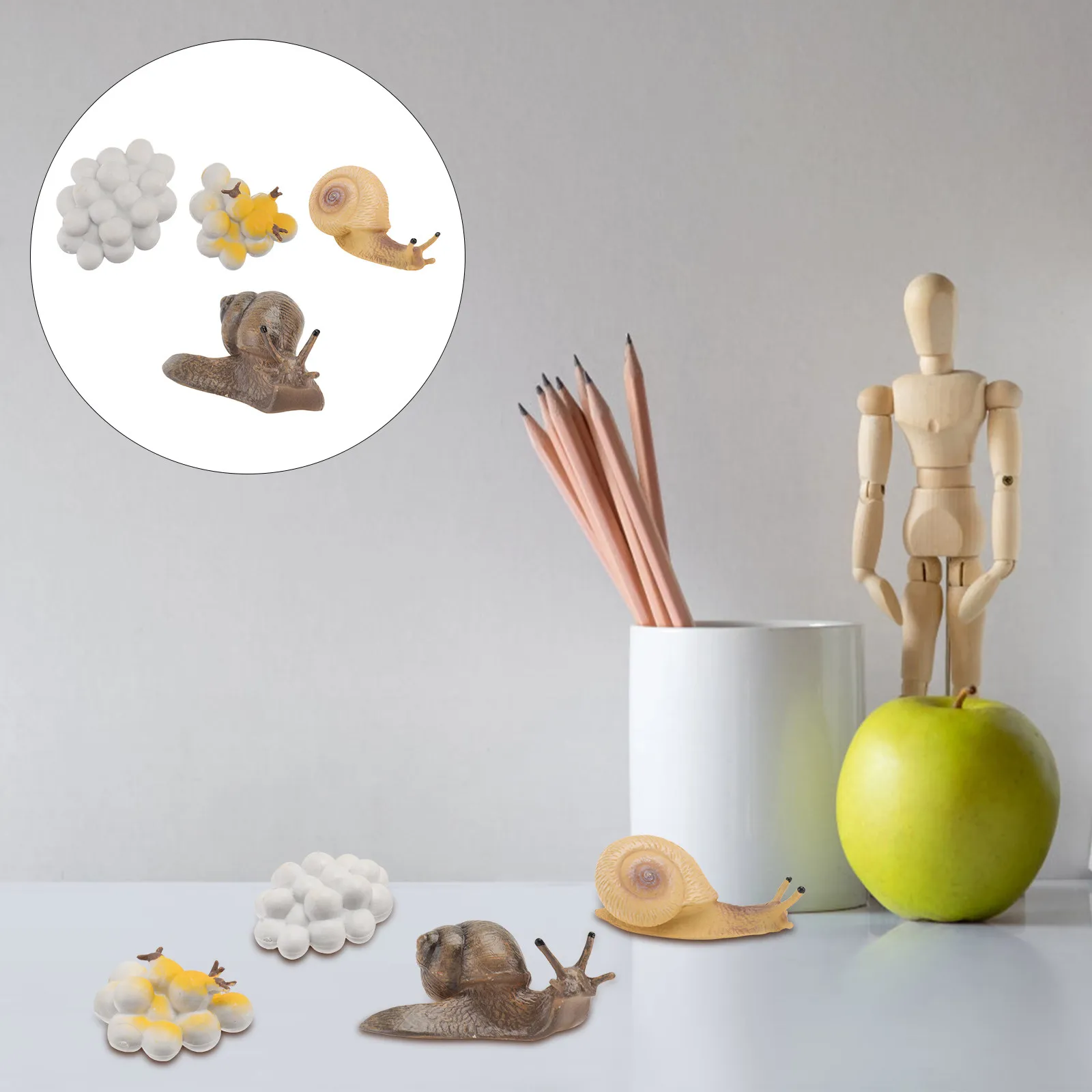 4Pcs Snail Life Cycle Ornament Child Friendly Plastic Educational Decor for Homes Childrens Rooms Gardens Shops Growth Cycle
4Pcs Snail Life Cycle Ornament Child Friendly Plastic Educational Decor for Homes Childrens Rooms Gardens Shops Growth Cycle