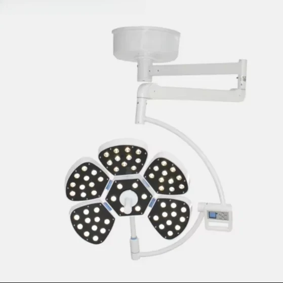 Veterinary operating illumination supplier surgery equip shadowless hospital surgic lamp for pet
Veterinary operating illumination supplier surgery equip shadowless hospital surgic lamp for pet