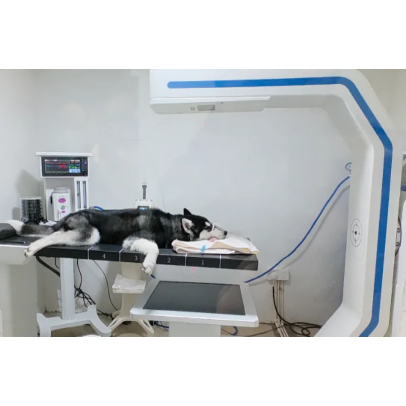 Vet CT Scan Machine Dog Use Multi-Function C-arm Veterinary CBCT High Speed 3D Reconstruction Supports Large Pets
Vet CT Scan Machine Dog Use Multi-Function C-arm Veterinary CBCT High Speed 3D Reconstruction Supports Large Pets