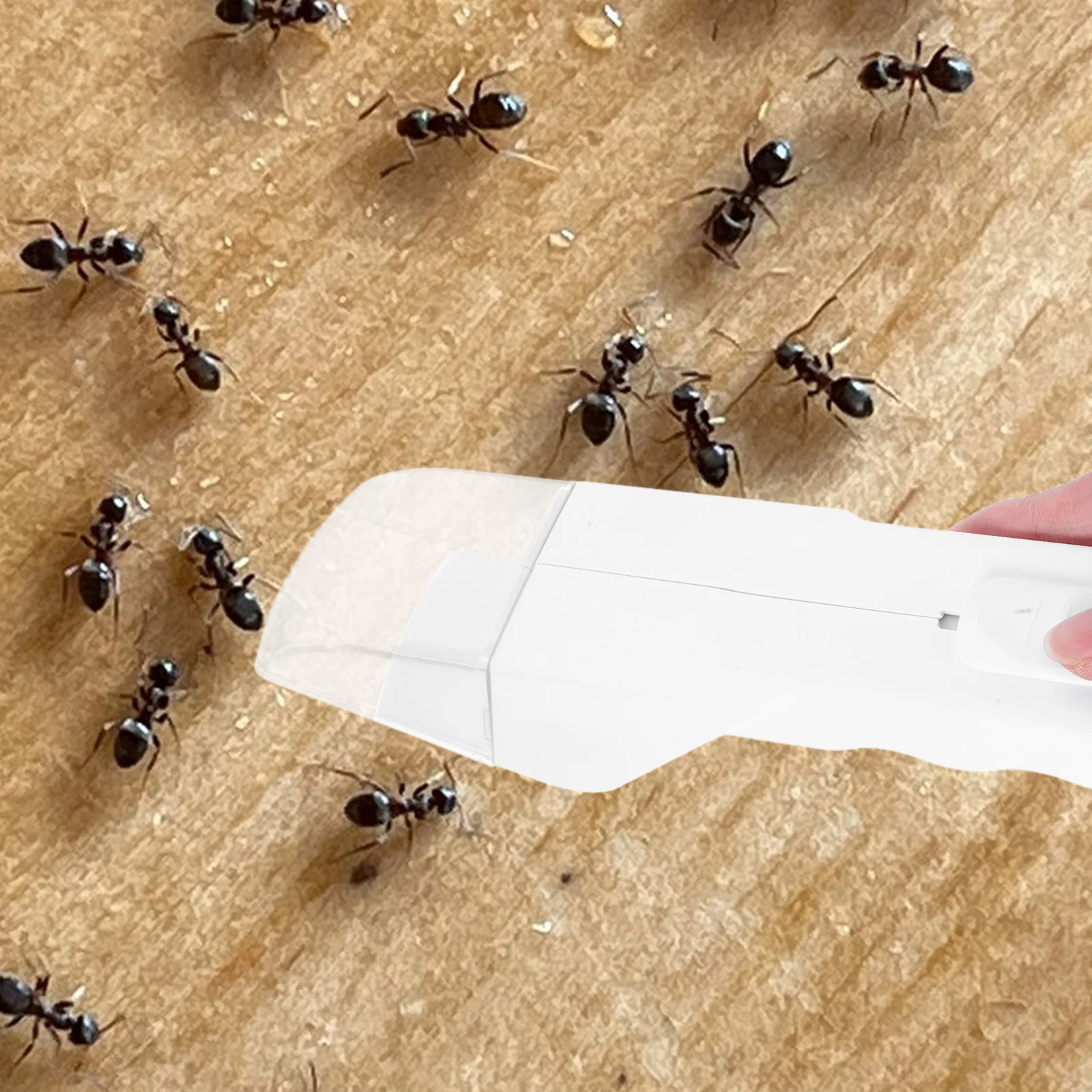 Multi Functional Spider Catcher Tool For Safe Plastic Insect Catcher Reusable Portable Handheld Mini Bee Butterfly
Multi Functional Spider Catcher Tool For Safe Plastic Insect Catcher Reusable Portable Handheld Mini Bee Butterfly