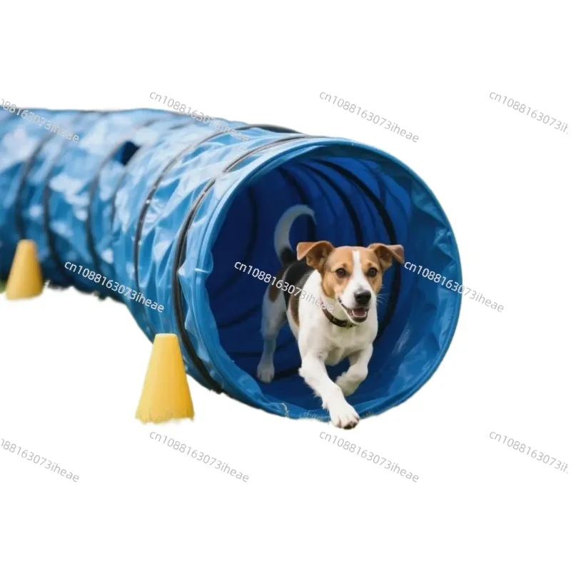 600 мм диаметр 5 м туннель для дрессировки ловкости собак большие туннели для собак туннель для ловкости активности для собак
600 мм диаметр 5 м туннель для дрессировки ловкости собак большие туннели для собак туннель для ловкости активности для собак