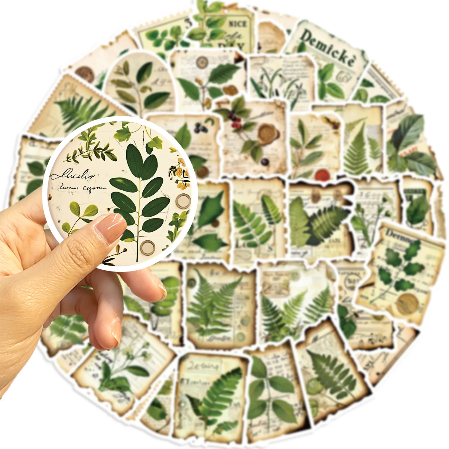10/30/50PCS Plant Stickers Tag Sticker Cartoon Decals DIY Luggage Laptop Phone Guitar Car Bike Skateboard Waterproof Kids Toy
10/30/50PCS Plant Stickers Tag Sticker Cartoon Decals DIY Luggage Laptop Phone Guitar Car Bike Skateboard Waterproof Kids Toy