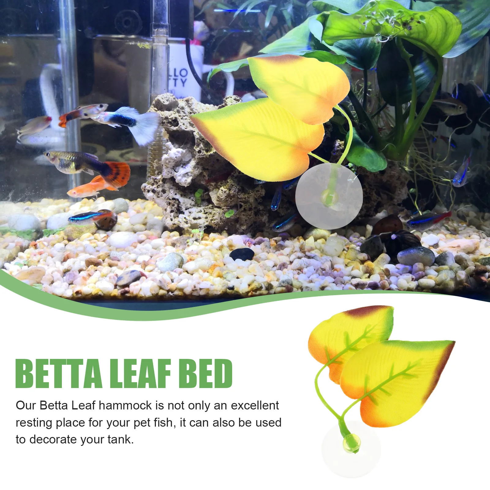 Betta Fish Resting Leaf Hammock Silicone Decor Betta Bed Tank Plant Fish Hideout Nesting Spawning Leaf Pad nament
Betta Fish Resting Leaf Hammock Silicone Decor Betta Bed Tank Plant Fish Hideout Nesting Spawning Leaf Pad nament