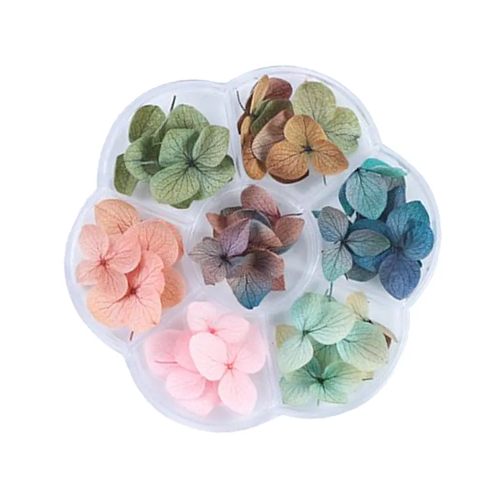 Dried Floral Nails Dry Flower Decoration Sticker Flowers Stickers Decal Oolish
Dried Floral Nails Dry Flower Decoration Sticker Flowers Stickers Decal Oolish
