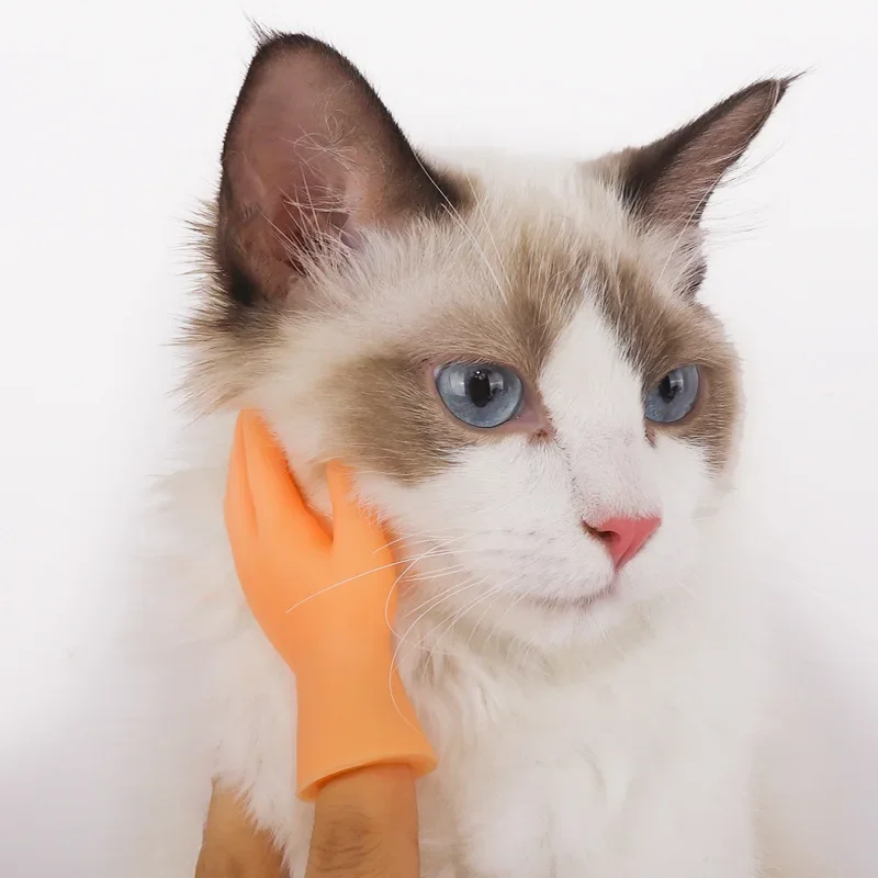 Mini Hands Model Tiny Hands Cat Massage Tool Funny Silicone Gloves Finger Gloves Little Finger Cat Toy
Mini Hands Model Tiny Hands Cat Massage Tool Funny Silicone Gloves Finger Gloves Little Finger Cat Toy
