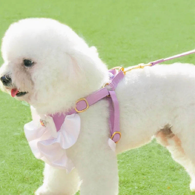 Dog Harness Vest Outdoor Pet Leash Puppy Yorkshire Pomeranian Maltese Bichon Poodle Schnauzer Pug French Bulldog Dog Leash
Dog Harness Vest Outdoor Pet Leash Puppy Yorkshire Pomeranian Maltese Bichon Poodle Schnauzer Pug French Bulldog Dog Leash