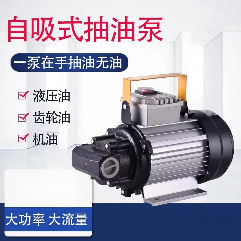 550W High-power Oil Pump 220v Plug-in Gear Pump
550W High-power Oil Pump 220v Plug-in Gear Pump