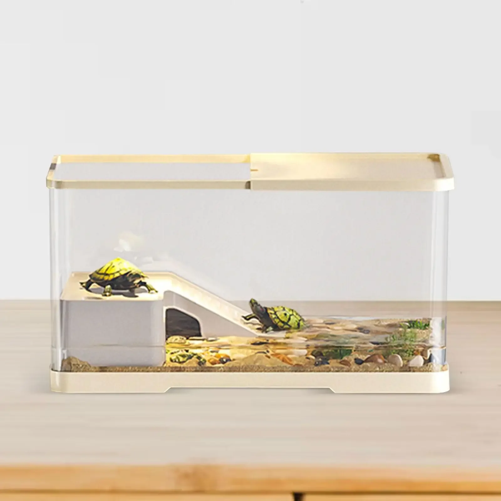 Turtle Tank Bottom Drainage Pets Accessory Hatching Breeding Tortoises Case Indoor Decor Turtle Terrarium Basking Platform
Turtle Tank Bottom Drainage Pets Accessory Hatching Breeding Tortoises Case Indoor Decor Turtle Terrarium Basking Platform