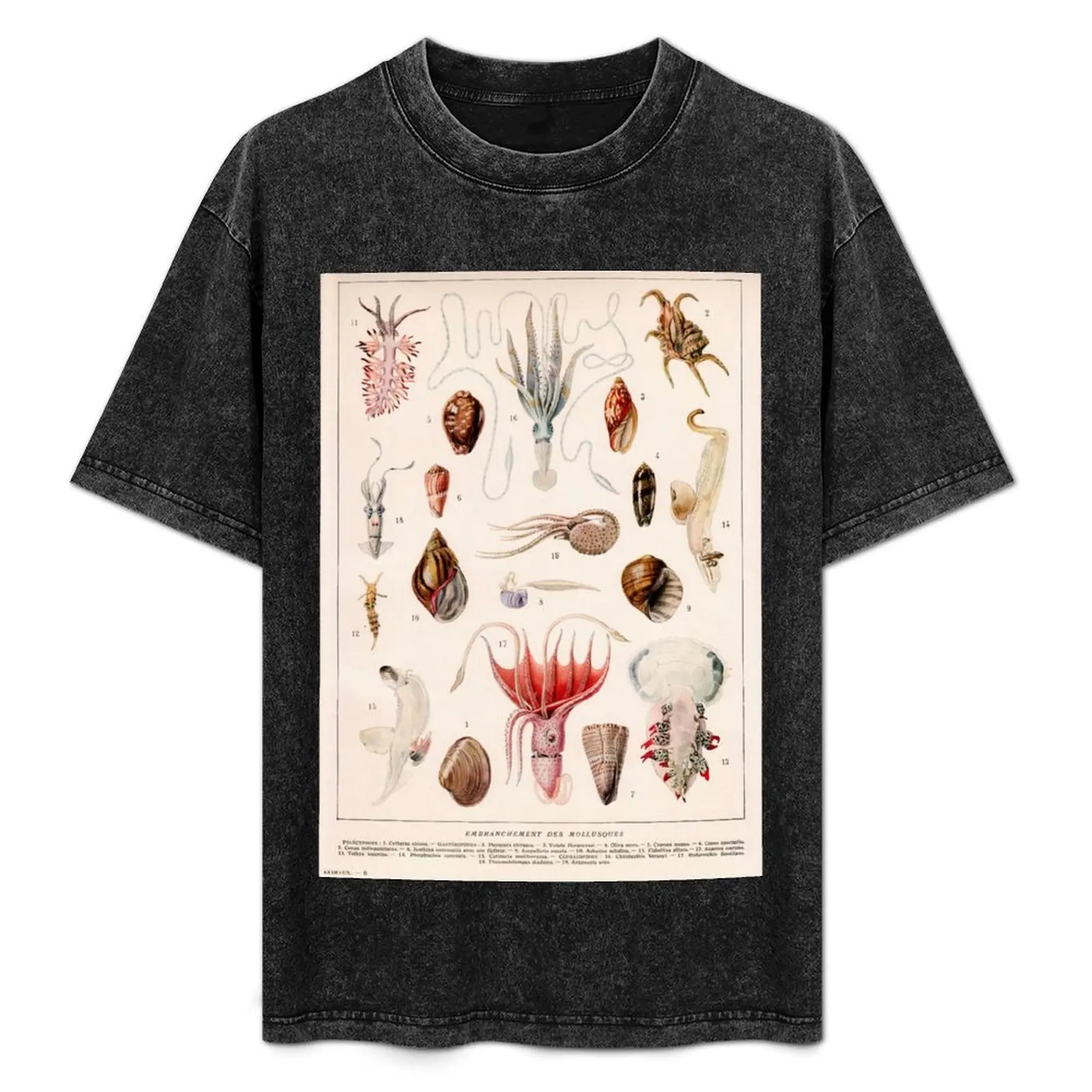 Adolphe Millot - Mollusques 01 - French vintage zoology illustration T-Shirt Halloween Casual T-Shirt
Adolphe Millot - Mollusques 01 - French vintage zoology illustration T-Shirt Halloween Casual T-Shirt