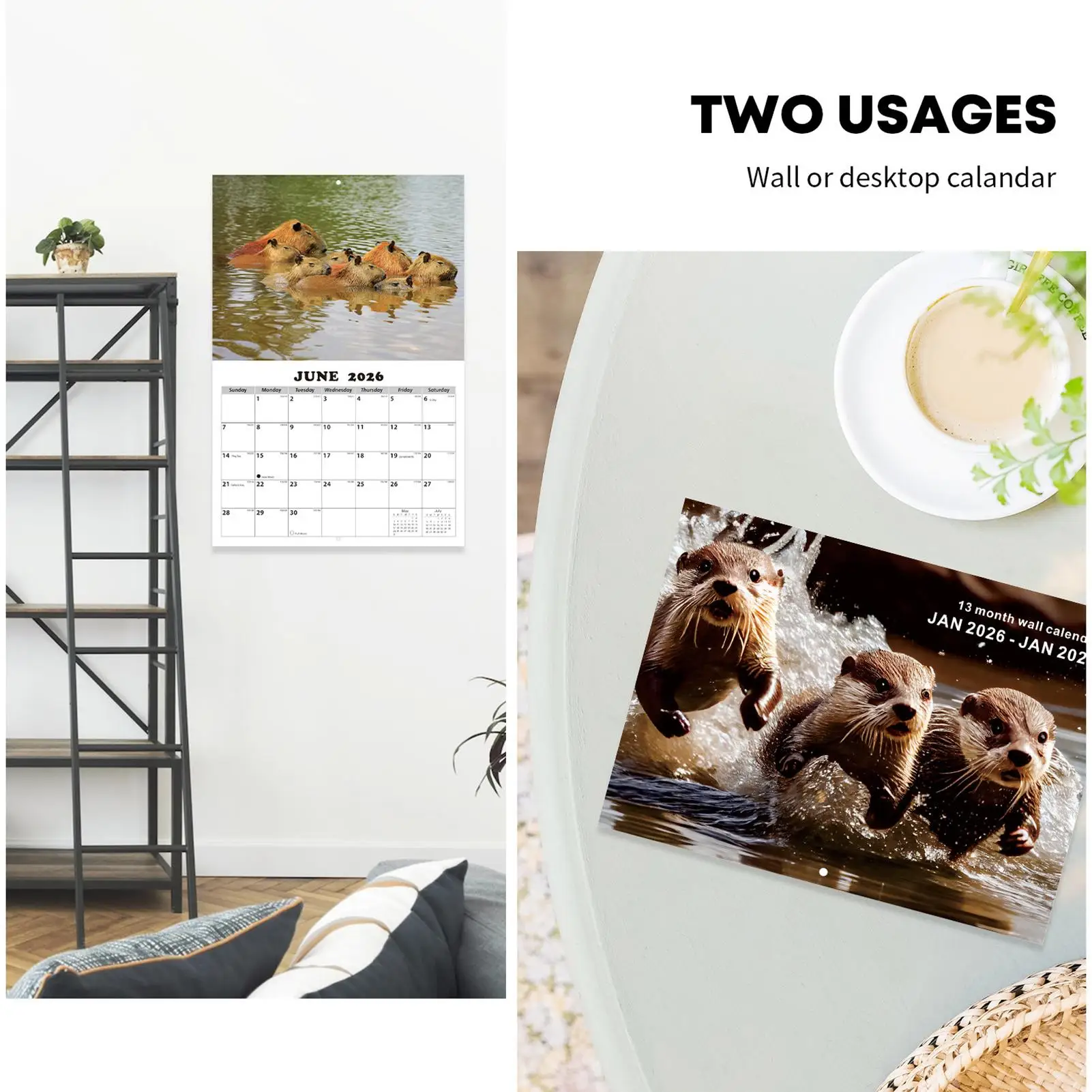 A3 Calendar 2026-2027 Capybara Themed English Planner 13 Months Wall Calendar 16x Different Capybara Pictures Monthly Calendar
A3 Calendar 2026-2027 Capybara Themed English Planner 13 Months Wall Calendar 16x Different Capybara Pictures Monthly Calendar