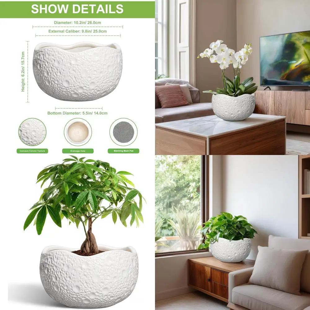 Керамические 10-дюймовые горшки для растений — круглые цветочные горшки бонсай с дренажем для использования в помещении и на открытом воздухе, современные декоративные горшки, уникальный H
Керамические 10-дюймовые горшки для растений — круглые цветочные горшки бонсай с дренажем для использования в помещении и на открытом воздухе, современные декоративные горшки, уникальный H