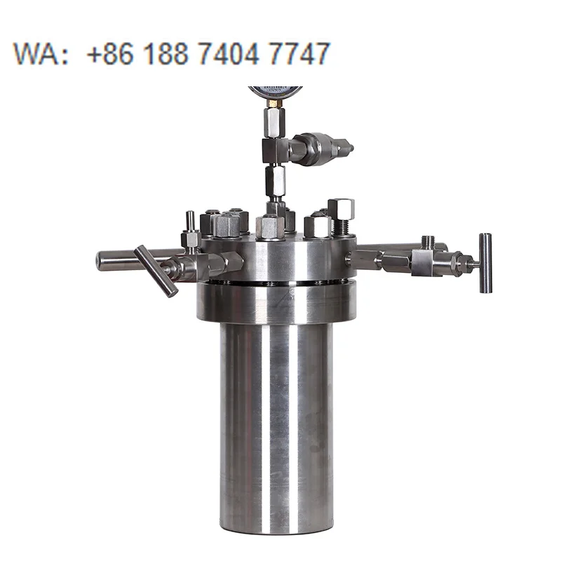 Small Laboratory High Pressure Reactor Price
Small Laboratory High Pressure Reactor Price