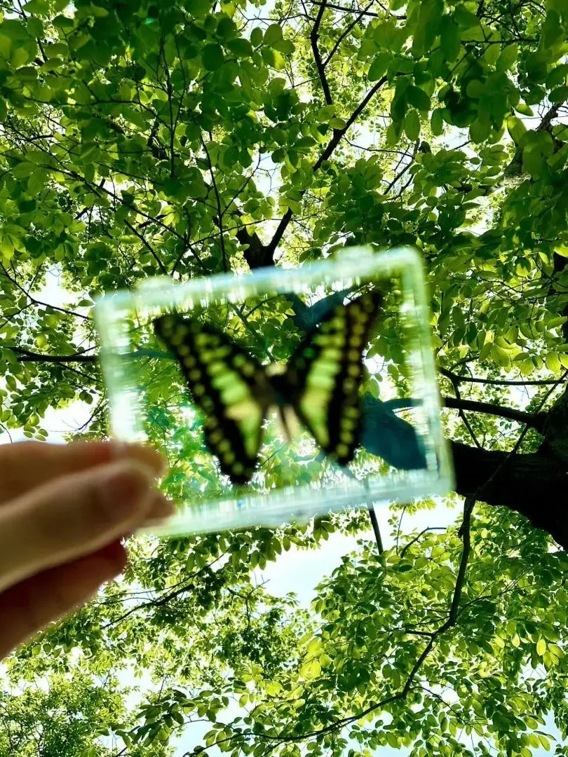 для iPhone Samsung Новый портативный внешний аккумулятор емкостью 100 Вт, 20000 мАч, кабель большой емкости, мини-Powerbank с двусторонней быстрой зарядкой
для iPhone Samsung Новый портативный внешний аккумулятор емкостью 100 Вт, 20000 мАч, кабель большой емкости, мини-Powerbank с двусторонней быстрой зарядкой