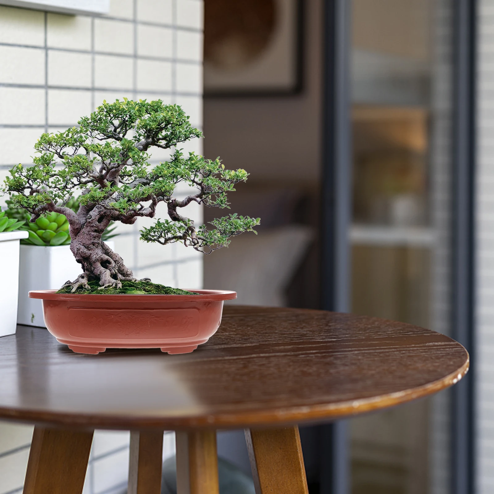 4pcs Thickened Bonsai Flower Pots for Succulents Concrete Container Square Planter Plastic Tray Planting Pot Garden Balcony
4pcs Thickened Bonsai Flower Pots for Succulents Concrete Container Square Planter Plastic Tray Planting Pot Garden Balcony