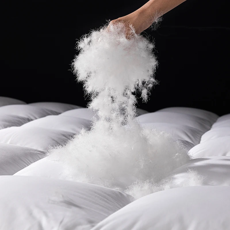 Luxury Goose Down Mattress Topper with 800+ Loft, Zero Quill, 1000+ Cleanliness - Twin/Full/Queen/King Sizes
Luxury Goose Down Mattress Topper with 800+ Loft, Zero Quill, 1000+ Cleanliness - Twin/Full/Queen/King Sizes