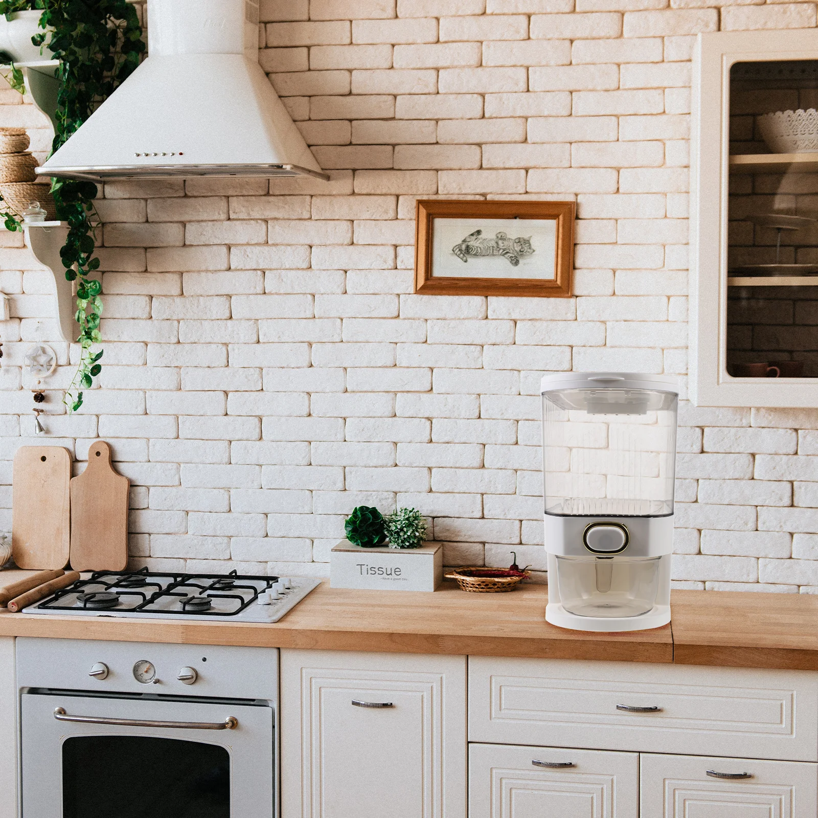 Rice Dispenser -Moisture Proof Pressing Cereal Container Transparent Storage Bean Grain Holder Kitchen Countertop
Rice Dispenser -Moisture Proof Pressing Cereal Container Transparent Storage Bean Grain Holder Kitchen Countertop