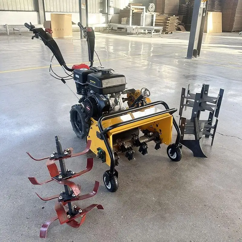 Rotary Tiller High Productivity Mini Farm Grass Weeding Soil Aeration and Ploughing Machine
Rotary Tiller High Productivity Mini Farm Grass Weeding Soil Aeration and Ploughing Machine