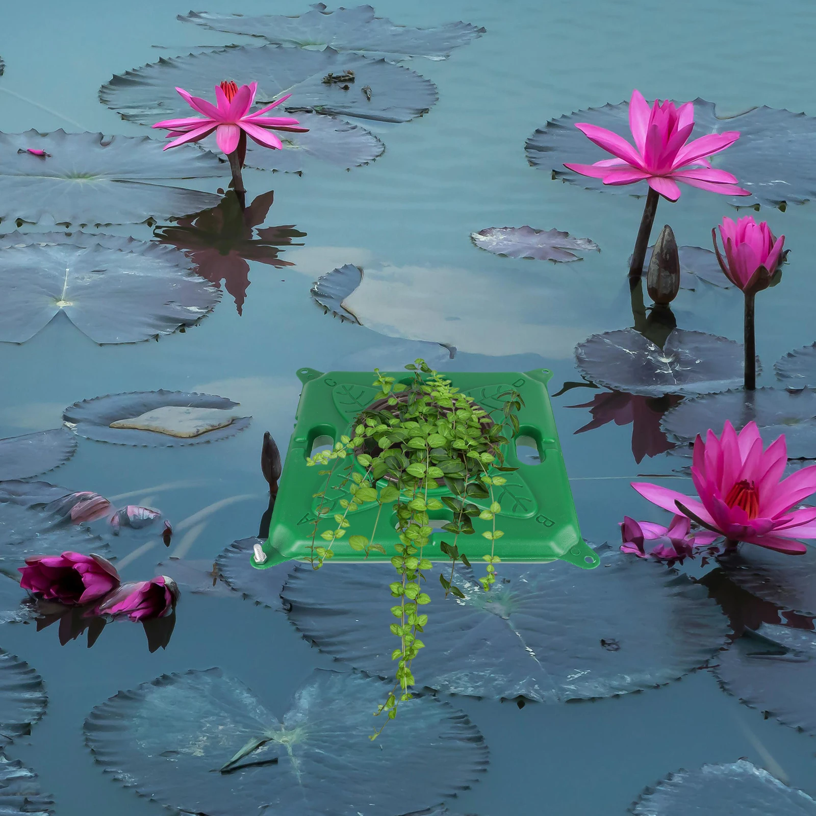 Ecological Floating Bed Pond Plants Container Hydroponic Planter Aquatic Bowl Planters Floating Island Decorations
Ecological Floating Bed Pond Plants Container Hydroponic Planter Aquatic Bowl Planters Floating Island Decorations