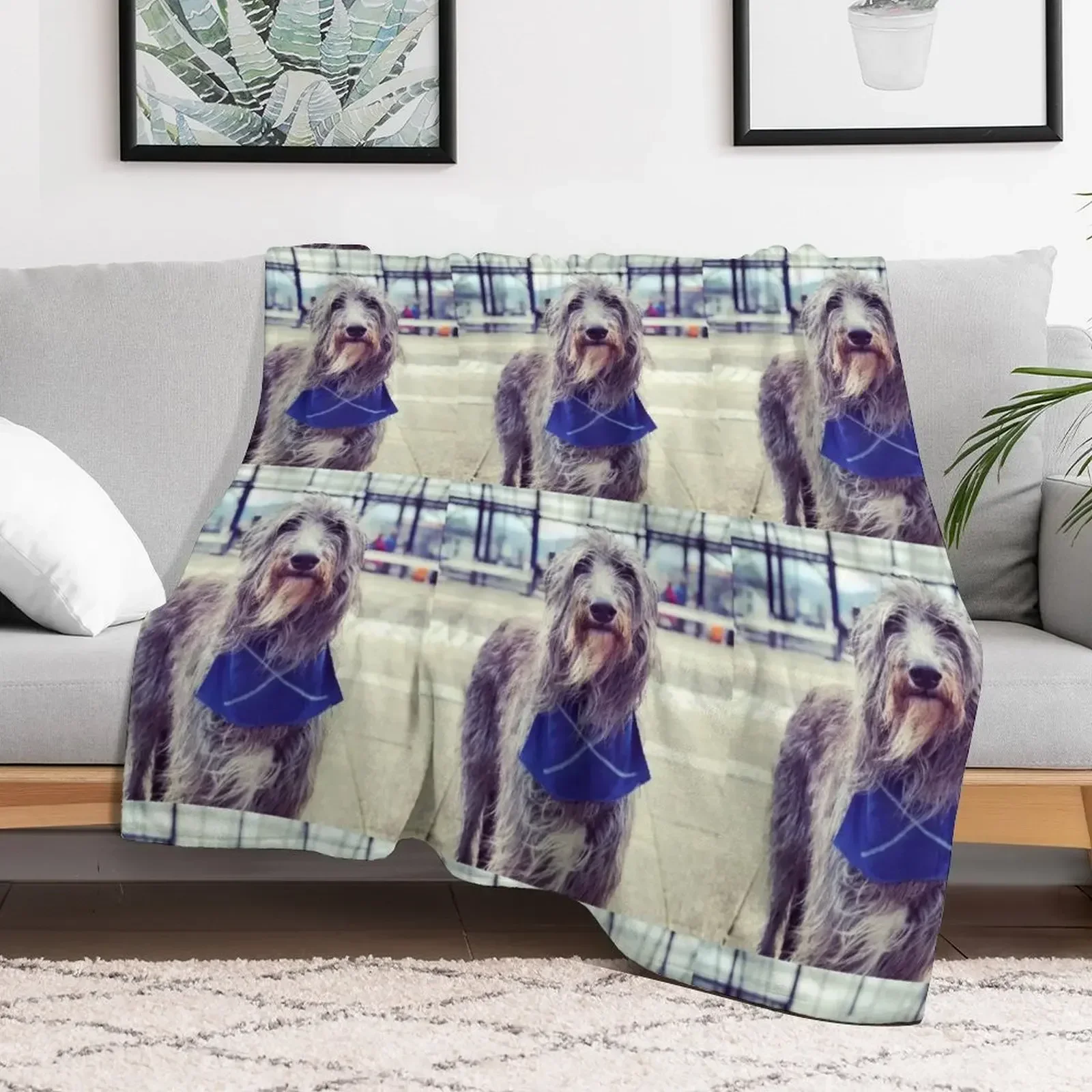 Scottish Deerhound with Scottish Flag Throw Blanket Luxury St Travel Blankets for winter Plaid warm winter Blankets
Scottish Deerhound with Scottish Flag Throw Blanket Luxury St Travel Blankets for winter Plaid warm winter Blankets