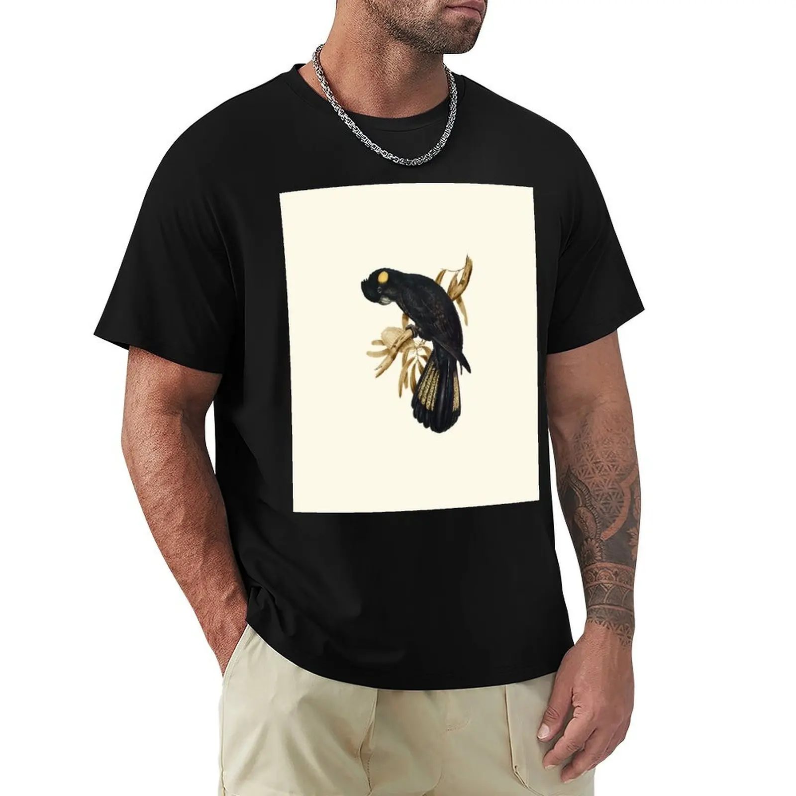 Yellow-tailed Black Cockatoo T-Shirt Breathable Mesh Panel T-Shirt
Yellow-tailed Black Cockatoo T-Shirt Breathable Mesh Panel T-Shirt
