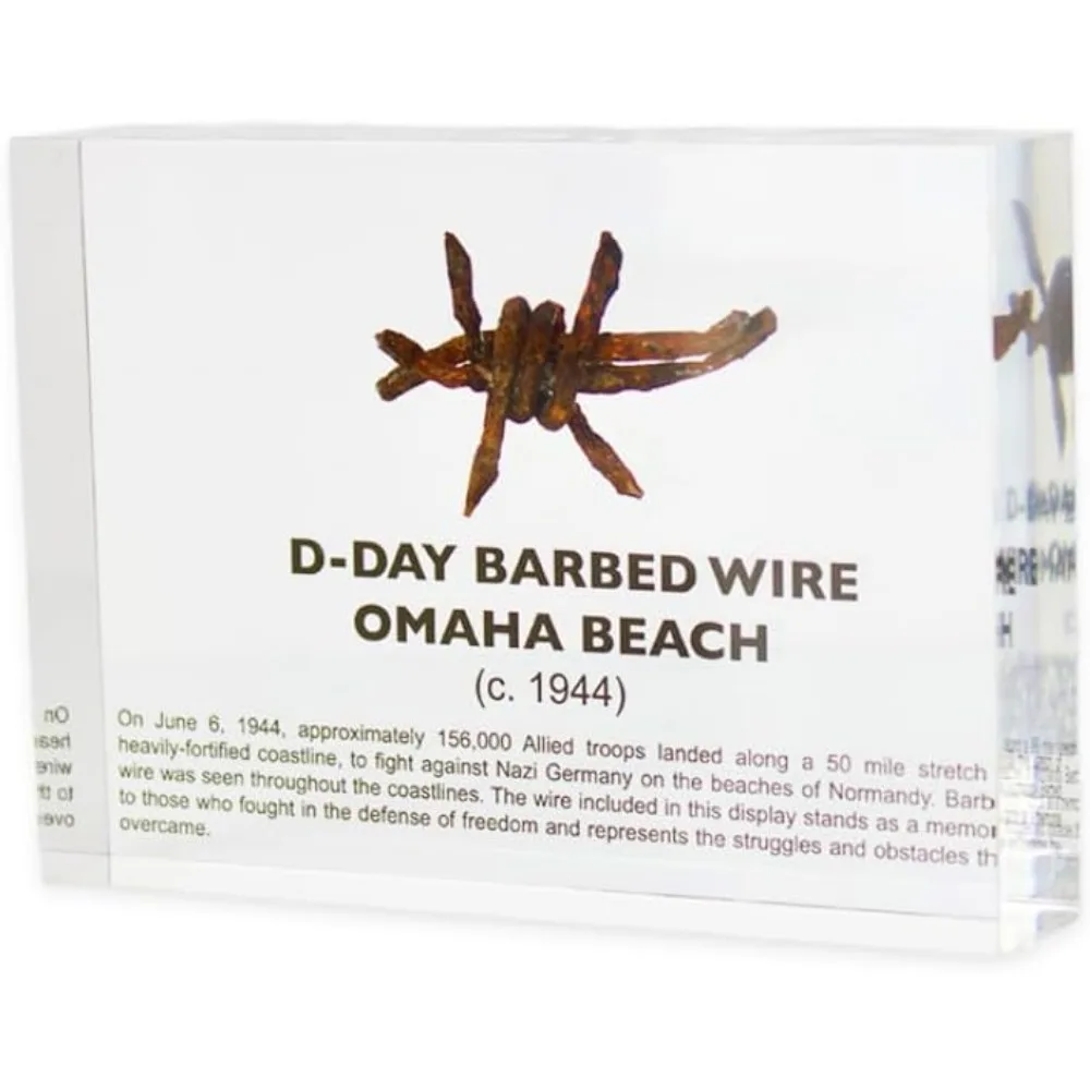 US Shipping WWII Barbed Wire Artifact Display Authentic Historical Relic Military Collectible
US Shipping WWII Barbed Wire Artifact Display Authentic Historical Relic Military Collectible