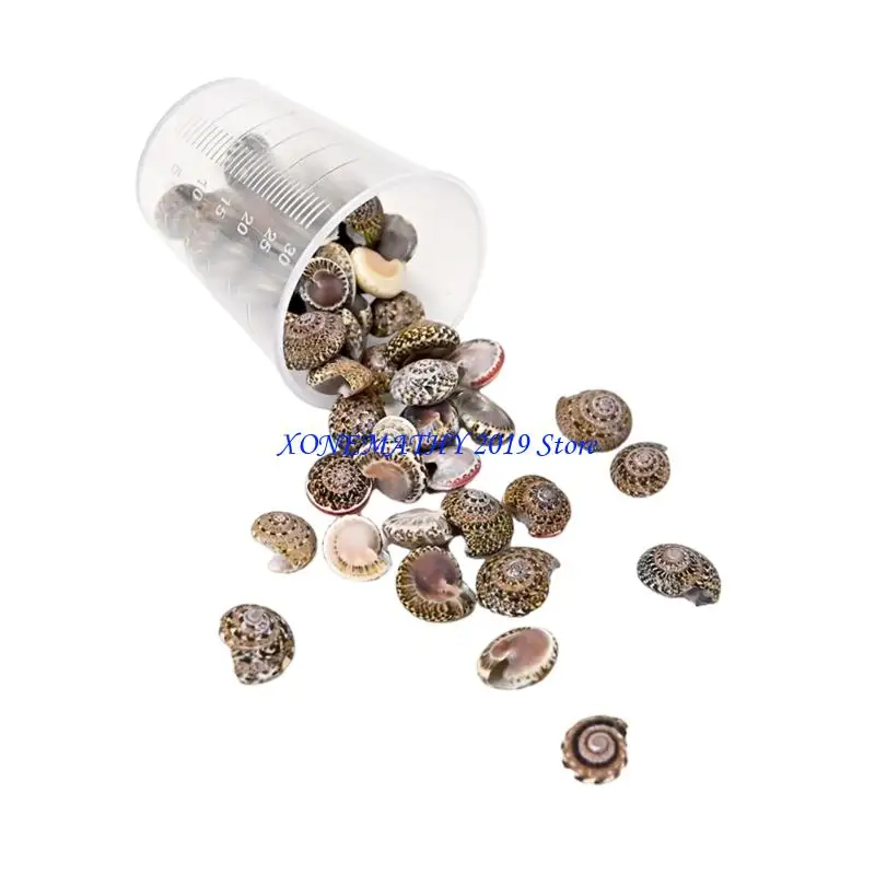 F42F Shell Beads Natural Shell Crafting Set Perfect for Handmade Jewelry and Decors 
F42F Shell Beads Natural Shell Crafting Set Perfect for Handmade Jewelry and Decors