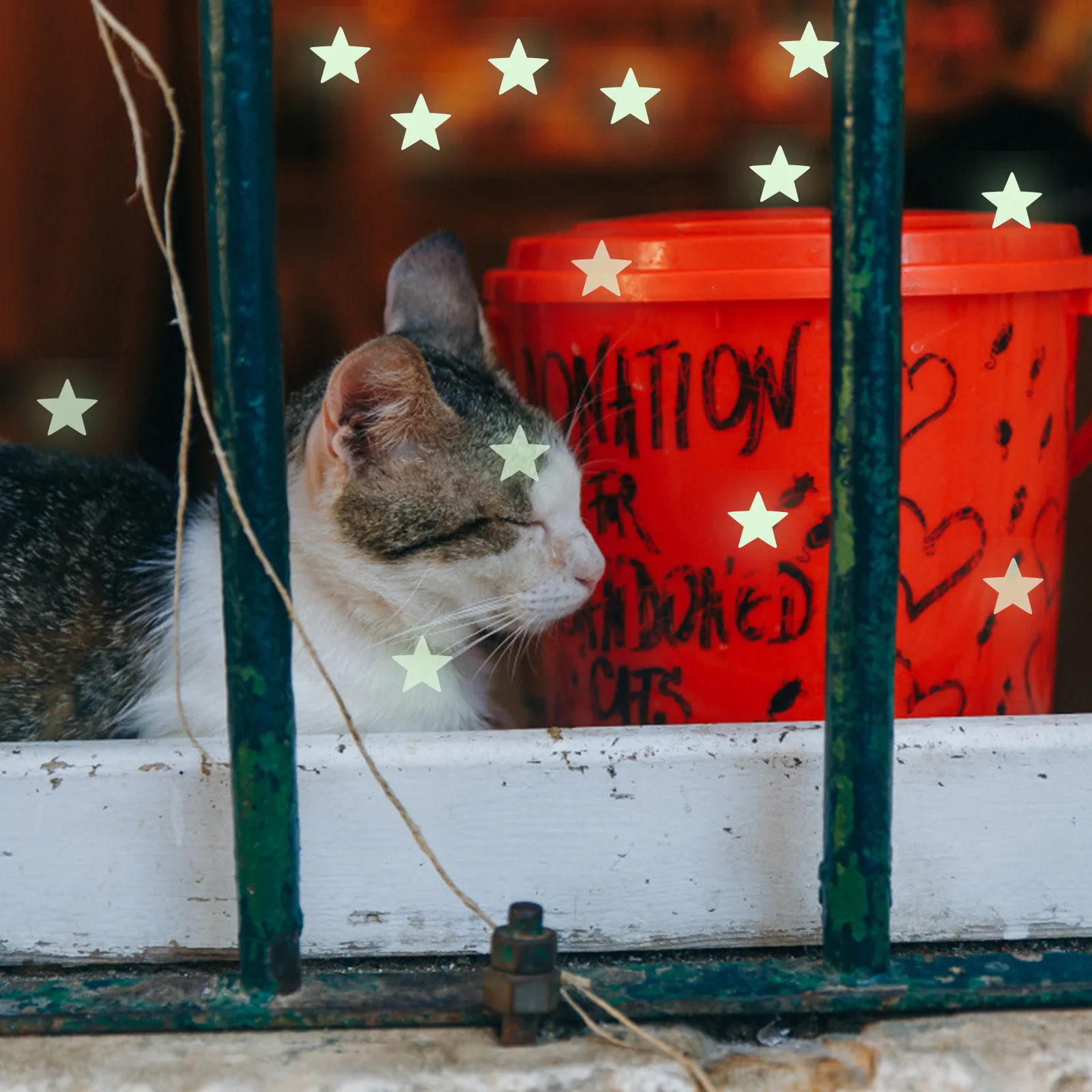 500pcs Glow Five Pointed Star Sticker Luminous Wall Decal For Kids Room Living Room Bathroom Nursery Glass Metal Surface Glowing
500pcs Glow Five Pointed Star Sticker Luminous Wall Decal For Kids Room Living Room Bathroom Nursery Glass Metal Surface Glowing