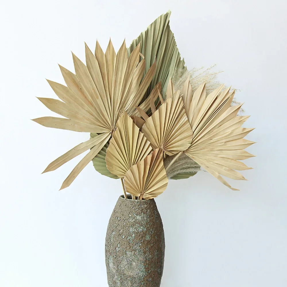 Naturl Palm Fan Leaf Dried Flower Mini Palm Leaves Pampas Grasses Branches DIY Wedding Decorations Home Decor Boho Wall Decor
Naturl Palm Fan Leaf Dried Flower Mini Palm Leaves Pampas Grasses Branches DIY Wedding Decorations Home Decor Boho Wall Decor
