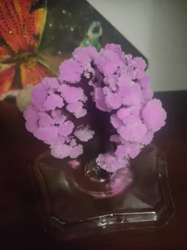 1 PCS Magical Paper Sakura Crystal Trees Magic Grow Tree Japan Desktop Cherry Blossom Decompression Toys Christmas Science Toy
1 PCS Magical Paper Sakura Crystal Trees Magic Grow Tree Japan Desktop Cherry Blossom Decompression Toys Christmas Science Toy