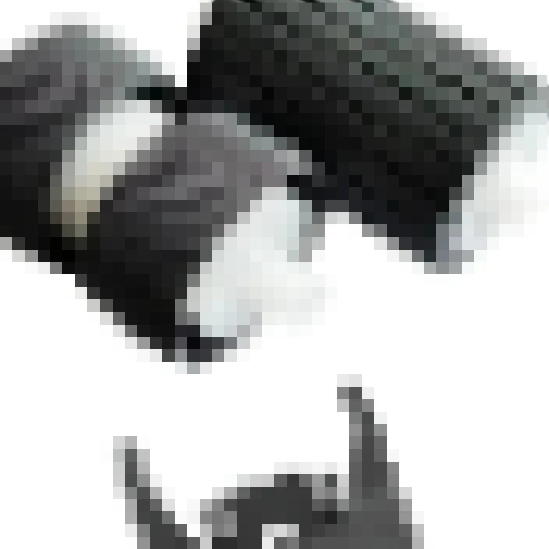 Ролик подачи и разделения бумаги 6759B001 для Canon DR 2010C, 2010M, 2510C, 2510M, 3010C, C120, C130, 220, 220P, комплект сменных роликов
Ролик подачи и разделения бумаги 6759B001 для Canon DR 2010C, 2010M, 2510C, 2510M, 3010C, C120, C130, 220, 220P, комплект сменных роликов