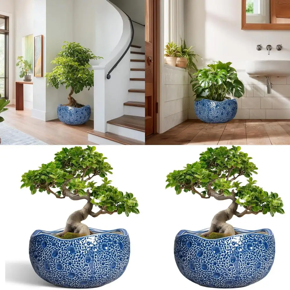 13 Inch Round Decorative Plant Pot with Drainage Hole, Suitable for Indoor and Outdoor Use, Blue
13 Inch Round Decorative Plant Pot with Drainage Hole, Suitable for Indoor and Outdoor Use, Blue