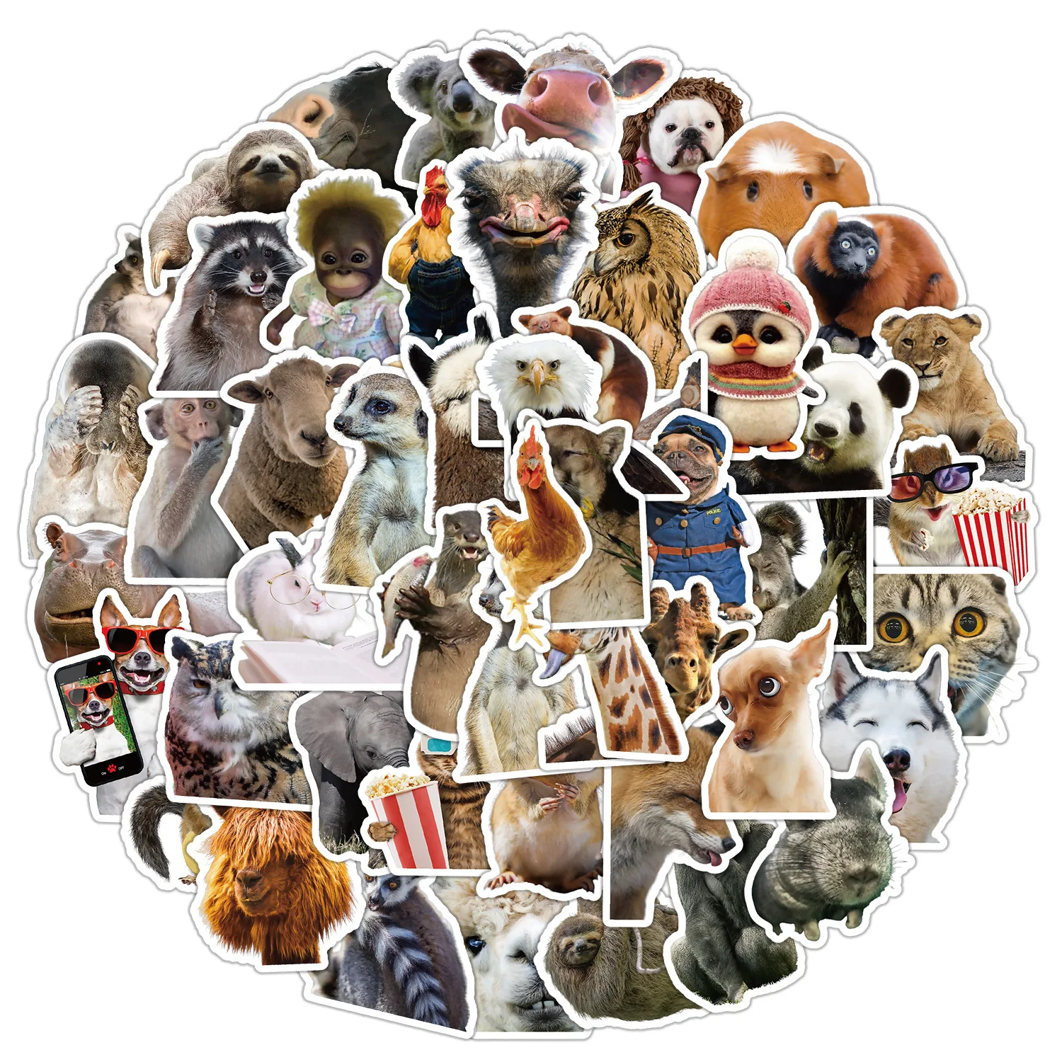 50Pcs Realistic Cute Animal Series Stickers Suitcase Phone Case Water Bottle Waterproof Decoration Diy Sticker Packs
50Pcs Realistic Cute Animal Series Stickers Suitcase Phone Case Water Bottle Waterproof Decoration Diy Sticker Packs