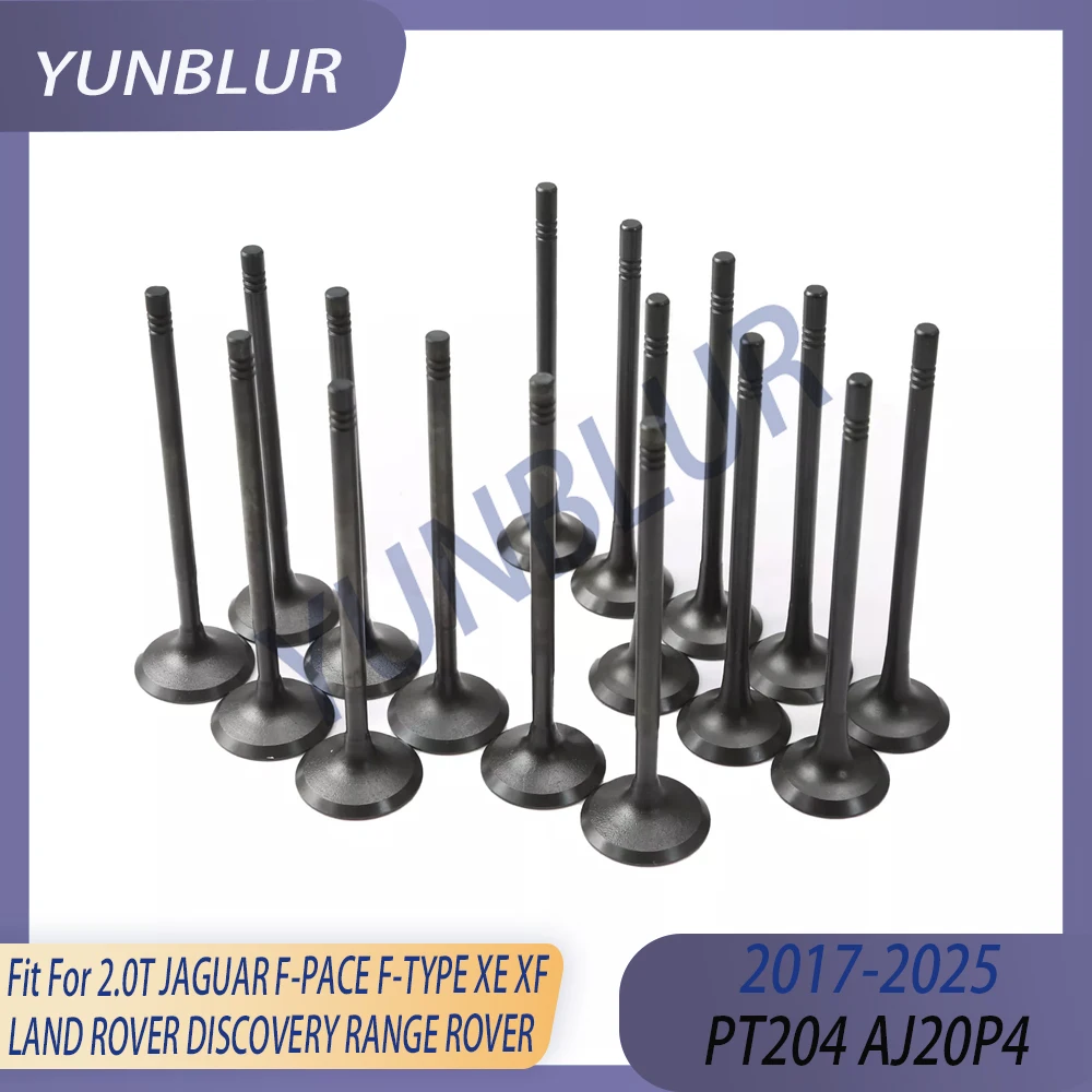 Engine 8x Intake & 8x Exhaust Valve Kit Fit 2.0 L PT204 17-24 For JAGUAR F-PACE F-TYPE XE XF LAND ROVER DISCOVERY RANGE ROVER
Engine 8x Intake & 8x Exhaust Valve Kit Fit 2.0 L PT204 17-24 For JAGUAR F-PACE F-TYPE XE XF LAND ROVER DISCOVERY RANGE ROVER