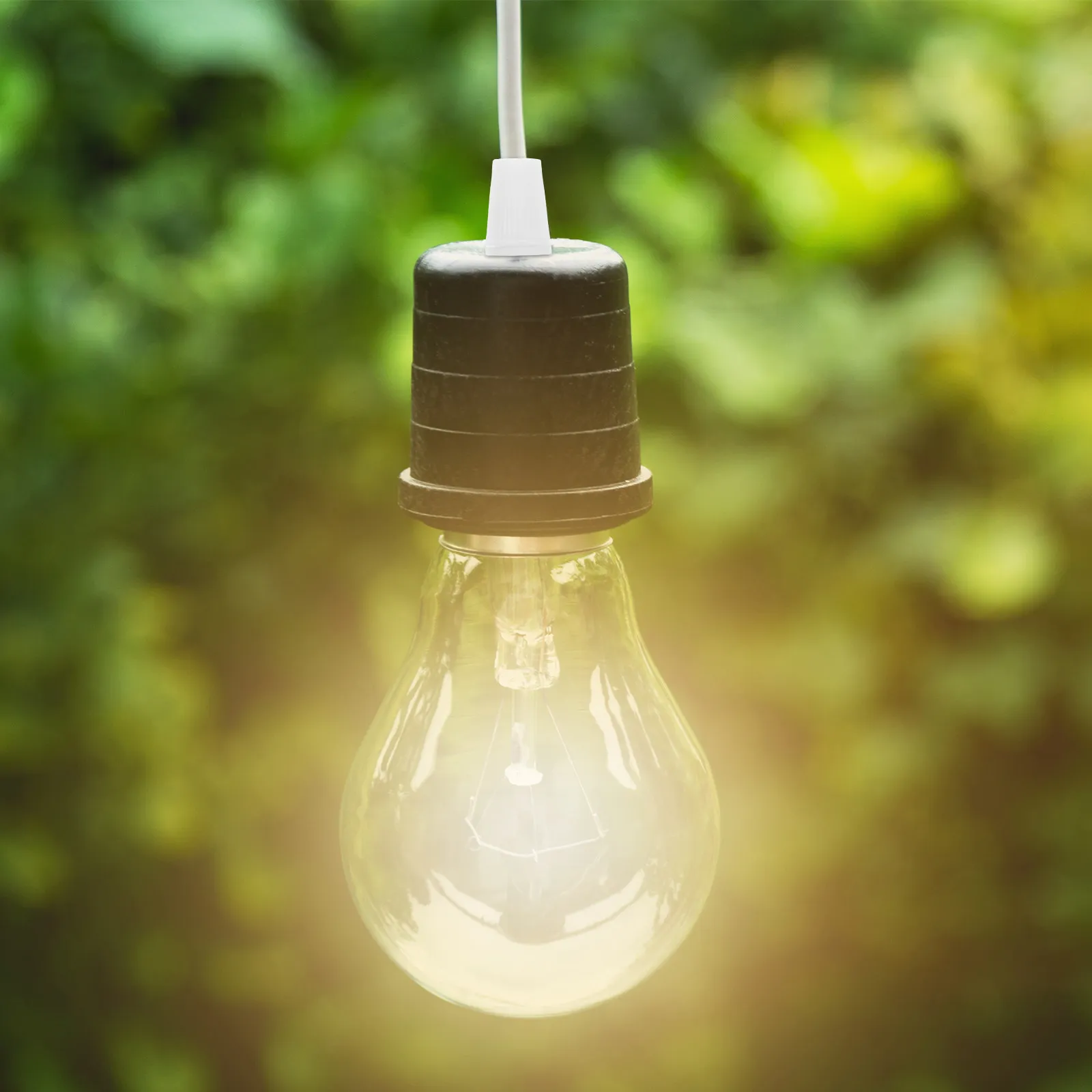 20Pcs Cable Glands for Lighting Robust Plastic Wire Cord Grips Fixtures Clamp for Electrical Cables M10 Lighting Cable Holders
20Pcs Cable Glands for Lighting Robust Plastic Wire Cord Grips Fixtures Clamp for Electrical Cables M10 Lighting Cable Holders