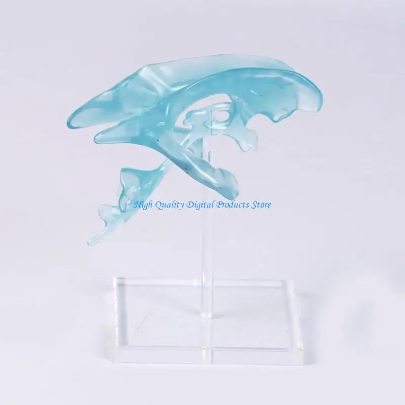 U2JE Human Ventricle Model Featuring Sturdy Acrylic Base for Neuroscience Education Clear Anatomical Ventricle Display
U2JE Human Ventricle Model Featuring Sturdy Acrylic Base for Neuroscience Education Clear Anatomical Ventricle Display