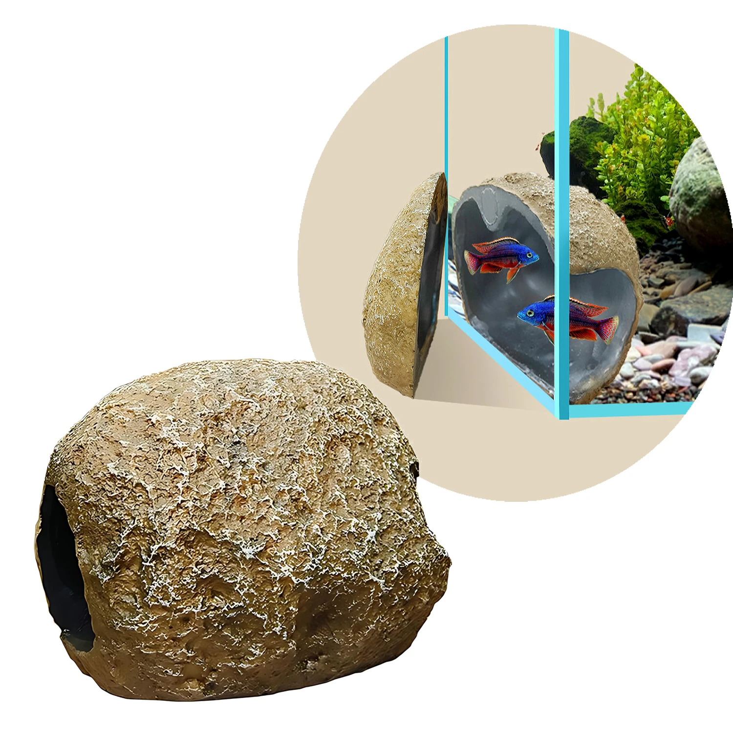 Fish Tank Ornament Decoration,Observ Fish Shrimp Breeding Propagation Container Shelter Cave ,Magnetic Attraction Shelter House
Fish Tank Ornament Decoration,Observ Fish Shrimp Breeding Propagation Container Shelter Cave ,Magnetic Attraction Shelter House