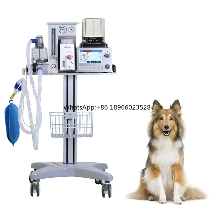 Medical veterinary gas anesthesia machine vet anesthesia equipments for pet cat dog Animal
Medical veterinary gas anesthesia machine vet anesthesia equipments for pet cat dog Animal
