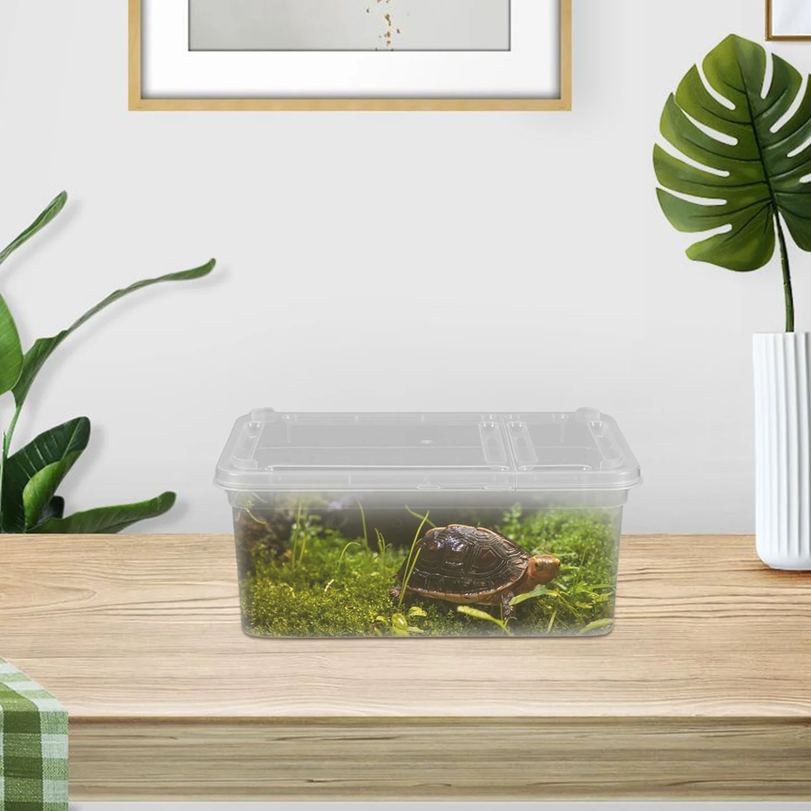 Durable Acrylic Reptile Feeding Box Compact Lightweight Habitat Enclosure for Spiders Frogs Tarantulas Small Reptiles Breeding 
Durable Acrylic Reptile Feeding Box Compact Lightweight Habitat Enclosure for Spiders Frogs Tarantulas Small Reptiles Breeding