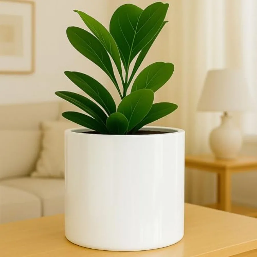 12" Large Plant Pot Fits Plant Stand Fiberstone Drainage Plug Outdoor Indoor
12" Large Plant Pot Fits Plant Stand Fiberstone Drainage Plug Outdoor Indoor